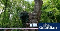Council leader accepted Spurs tickets days before felling of ancient oak