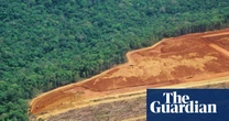 Deforestation has killed half a million people in past 20 years, study finds