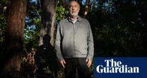 NSW forestry agency should be shut down for repeatedly breaking law, critics argue