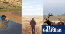 Bucolic battlefield: a California seashore says goodbye to dairy farms – and hopes to heal