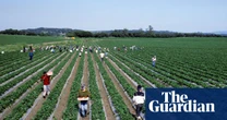 White House rescinds $20m for clean water in pesticide-contaminated rural California