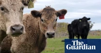 My Climate View: online tool allows Australian farmers to project changes out to 2070