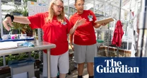 These women are raising endangered butterfly larvae from prison: ‘They reconnect with their own brilliance’