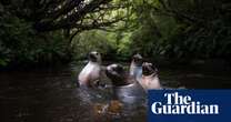 Australian Geographic nature photographer of the year 2024 – in pictures