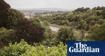 Bristol’s backyard vineyards: foot-stomping grapes in the garden