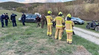 Atak niedźwiedzia na Podkarpaciu. „Zwierzę mogło zostać zaskoczone”