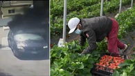 Migranci spaleni w aucie. Wstrząsająca zbrodnia na stacji benzynowej