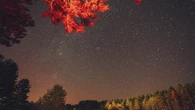 Przed nami noc spadających gwiazd. Sprawdź, gdzie i kiedy oglądać Perseidy