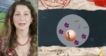 "Così il Covid controlla le nostre cellule". Non è finita? Gallavotti, la scoperta in un inquietante studio israeliano