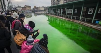 Acqua verde, il sospetto sul liquido usato dagli eco-teppisti: si rischia un disastro