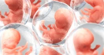 "Ectogenesi, così non partoriremo più". Follia femminista: cancellare uomo e donna