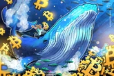 Bitcoin whale holdings hit five-month high: Is BTC headed to $80K next?