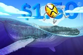 XRP whale wallets hit all-time highs: Will it push price above $1.50?