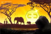  Sub-Saharan Africa third-fastest growing region for crypto adoption: Report 
