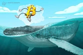  Bitcoin grabs $106K liquidity as whale longs BTC with $255M 