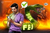 How one Bitcoin user accidentally paid $60K in fees and how you can avoid it