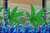  Cannabis firm Flora Growth launches $401M treasury backing Zero Gravity 