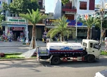 Ninh Thuận rà soát các dự án trồng, chăm sóc cây xanh
