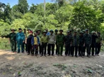 Nghi vấn hổ xuất hiện tại Quảng Bình: Nhìn thấy hổ từ phía sau