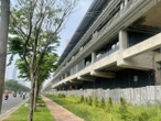 Di dời, đốn hạ 185 cây xanh để triển khai dự án kết nối cho tuyến metro số 1