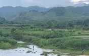 Hai anh em đuối nước khi cứu nhau