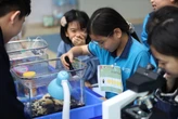 Chương trình giáo dục Việt Nam trong môi trường quốc tế có gì đặc biệt?