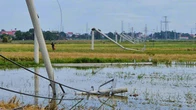 Cột điện đường dây 22 kV gãy đổ như "ngả rạ" sau mưa dông ở Thanh Hóa