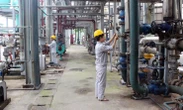 Một cổ phiếu ngành hóa chất bật tăng gần gấp đôi từ đầu năm đẩy vốn hóa vượt nghìn tỷ