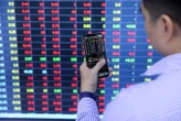 3 phương pháp chọn lọc cổ phiếu cho nhà đầu tư mới