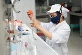 “Giải mã” bí quyết tạo nên sản phẩm sữa làm từ hạt chuẩn “gu” người tiêu dùng Việt