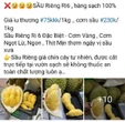 Sự thật sầu riêng chín cây bán trên chợ online