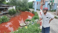 Nước kênh bỗng chuyển sang màu đỏ lạ thường ở Cà Mau