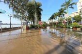 Bến Ninh Kiều lại chìm trong nước triều
