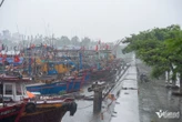 Chủ nhà hàng ở Đồ Sơn lập tường gỗ, dùng bao cát dựng 'lô cốt' chống bão số 3