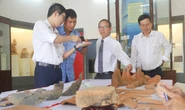Những phát hiện mới tại phế tích tháp cổ 1.000 năm tuổi ở Gia Lai