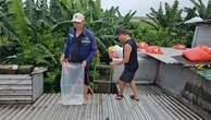 Người dân Huế dùng ‘cách lạ’ chằng chống nhà cửa trước bão gió ra sao?