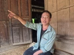 Giải mã thông tin sói rừng trở lại - Bài 2: Những cuộc truy lùng bất thành