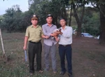Phát hiện gà lôi trắng quý hiếm bay vào quán nước, người đàn ông giao nộp cho phường