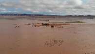 Imágenes de las inundaciones en la zona desértica de Figuig en Marruecos