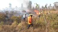 Un vasto incendio consume el 20 % del mayor parque natural de Brasilia