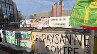 Agricultores protestan en Bruselas contra el acuerdo entre la UE y Mercosur