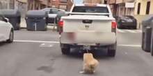 Descuido o maltrato animal: el inquietante vídeo de un perro atado a un coche en movimiento