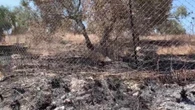 Jit llora la muerte de Rashid, el joven palestino asesinado por fuego israelí en un ataque de colonos