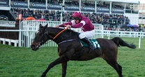 Jockey Rob James set for hearing over dead horse video