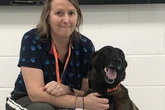 When is Crufts 2026? Key dates as search underway for most heroic dog
