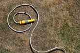 Garden warning issued as millions of homes face hosepipe bans