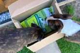I saved £200 on my dog food by making simple change and now I get free gifts