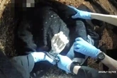 Henry Nowak cop's resignation unrelated to student's murder, chief constable claims