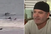 Surfer's miracle escape as he's headbutted by 'really powerful' flying shark