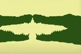 Image you spot first in optical illusion shows if you're 'lonely' or a 'leader'